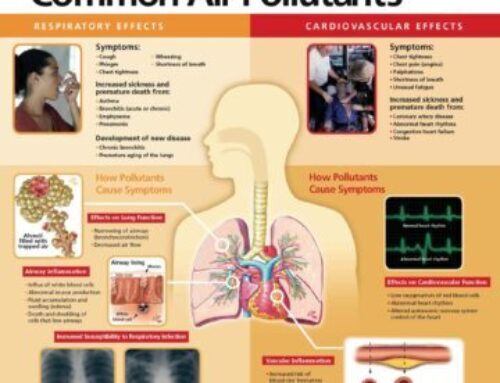 How to Protect Yourself from Poor Air Quality after Wildfires